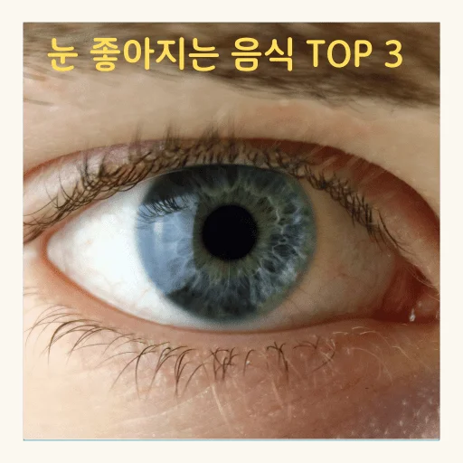 눈 건강에 좋은 음식 Top 3 - 눈 좋아지는 음식 Top 3