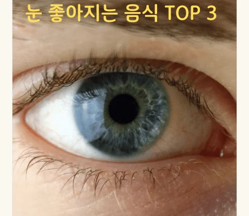 눈 건강에 좋은 음식 Top 3 - 눈 좋아지는 음식 Top 3