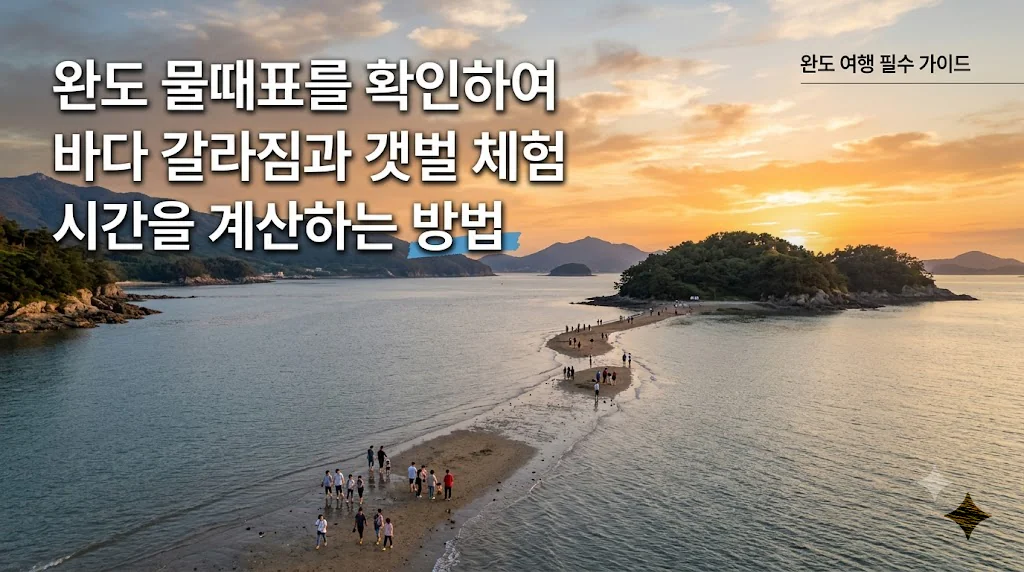 완도 물때표 오늘 물때 시간표 확인