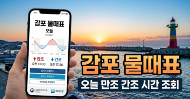 감포 물때표 오늘 물때 시간표 확인하기