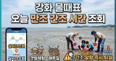 강화 물때표 오늘 물때 시간표 확인하기