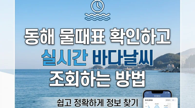 동해 물때표 5월 6월 7월 오늘 물때 시간표 달력 조회 — 간조·만조·바다낚시