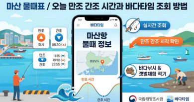 마산 물때표 오늘 물때 시간표 확인하기