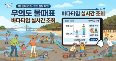 무의도 물때표 오늘 물때 시간표 확인하기