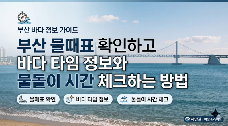 부산 물때표 오늘 물때표 시간표 확인하기