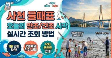 사천 물때표 오늘 물때 시간표 확인하기