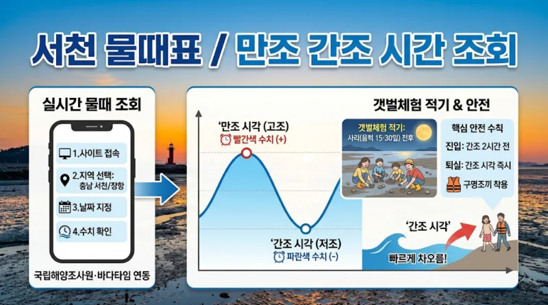 서천 물때표 오늘 물때 시간표 확인하기