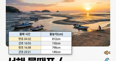 서해 물때표 오늘 물때 시간표 확인하기