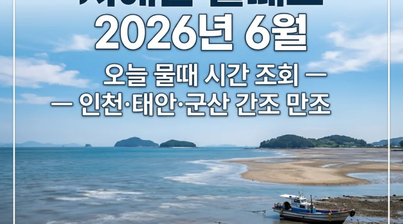 서해안 물때표 5월 6월 7월 오늘 물때 시간표 달력 조회 — 간조·만조·바다낚시
