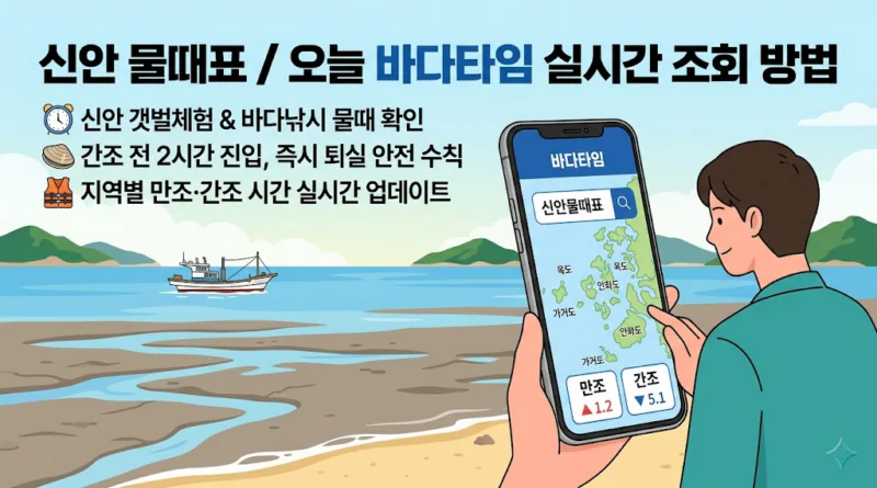신안 물때표 오늘 물때 시간표 확인하기