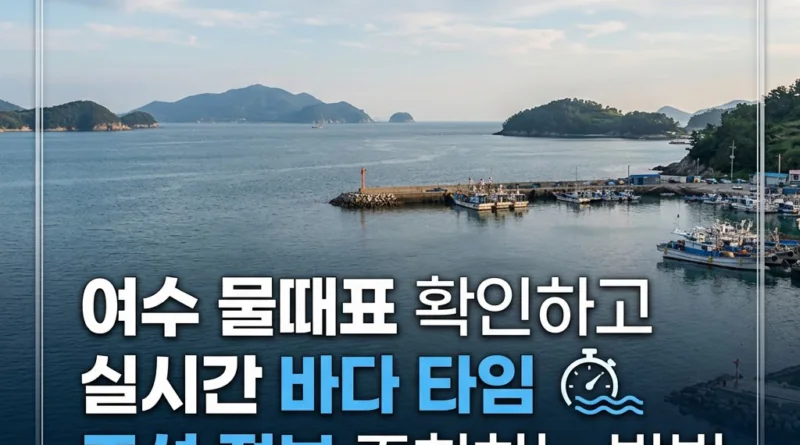 여수 물때표 확인하기 - 실시간 바다 타임 조석 정보 조회하는 방법