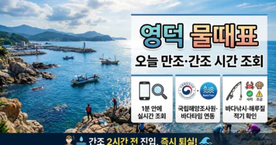 영덕 물때표 오늘 물때 시간표 확인하기