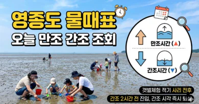 영종도 물때표 오늘 물때 시간표 확인하기