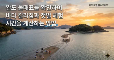 완도 물때표 오늘 물때 시간표 확인