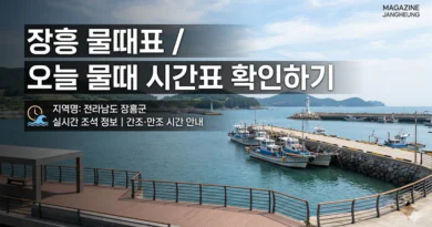 장흥 물때표 오늘 물때 시간표 확인하기