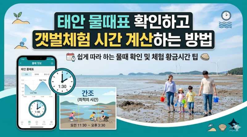 태안 물때표 오늘 물때 시간표 확인